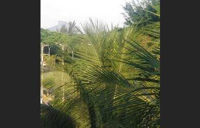 Imagem 15: Apartamento com 3 dormitórios à venda, 116 m² por R$ 850.000,00 - Recreio dos Bandeirantes