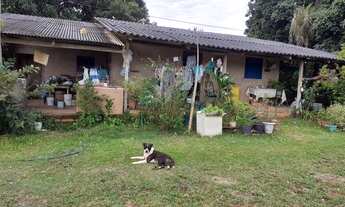 Imagem: Vendo fazenda de 97 hectares, Localizada