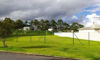 Imagem: Lote em condomínio - Árvores