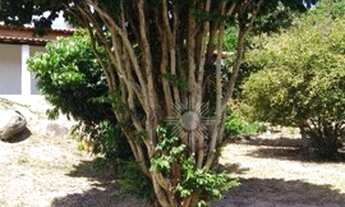 Imagem 2: Sítio à venda, 21000 m² por R$ 500.000,00 - Douradinho - Piedade/SP