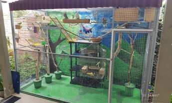 Imagem 7: Casa com 4 dormitórios à venda em Cabo Branco - João Pessoa/PB