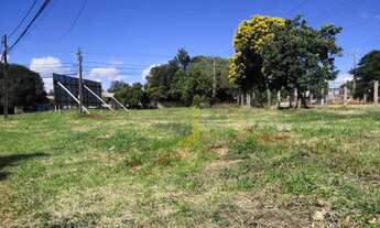 Imagem 2: Lote de esquina na parte alta do santa felicidade