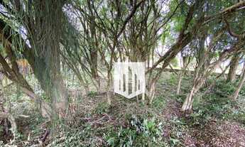 Imagem 6: Terreno à venda, 981 m² por R$ 420.000 - Farroupilha - Ivoti/RS