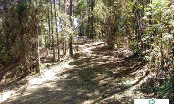 Imagem 3: EXCELENTE PROPRIEDADE EM TERESÓPOLIS