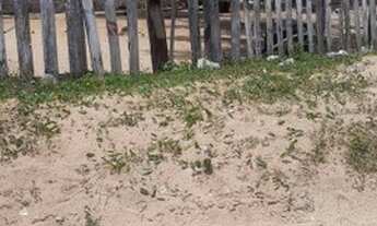 Imagem 2: Terreno à venda na Redinha - Natal/RN