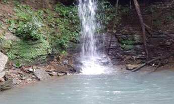 Imagem: Fazenda à venda, 242 Hectares- Zona Rural