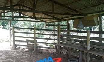 Imagem 2: Piracanjuba - GO chacara de 6 alqueires