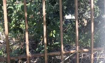 Imagem 7: Terreno No Bairro Quilombo