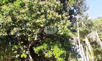 Imagem 5: Fazenda a venda no Tocantins em Dois do Tocantins