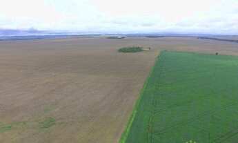 Imagem 7: Fazenda de 570 Hectares plantando em Porto Nacional/TO