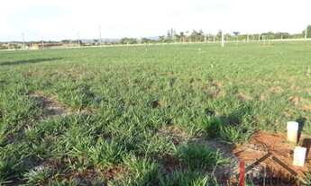 Imagem 2: Terreno em condomínio no Terras Alpha Senador Canedo - Bairro Terras Alpha Residencial 1 e