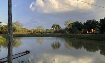 Imagem 7: Faz. 175 hc Rosario Oeste