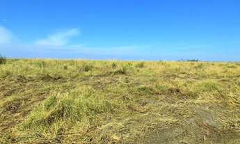 Imagem 4: Fazenda 2.700 Hectares Corumbá MS