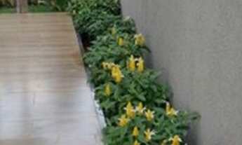 Imagem 5: Lindo Imóvel venha conferir