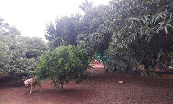 Imagem 3: Vendo Confinamento com Capacidade para 400 Boi a 14 KM de Brazlândia/DF