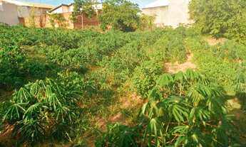 Imagem 3: Terreno Adamantina Eldorado 2 - 275m²