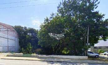 Imagem 5: Terreno, 579 m² - venda ou aluguel - Vila Augusta - Sorocaba/SP