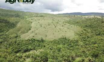 Imagem 6: Fazenda Localizada no Município de Niquelândia - go