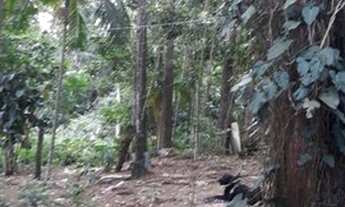 Imagem 3: Excelente Terreno em Condomínio na Região de Diadema com Santo Amaro