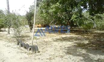 Imagem 3: CHÁCARA COM 3,9 TAREFAS EM JAIBA