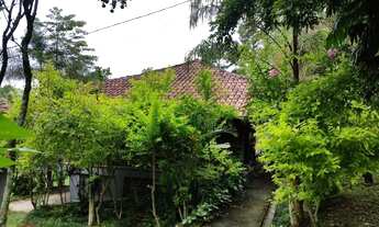 Imagem 4: Chácara à venda, 9000 m² por R$ 630.000,00 - Jardim Sandra - Mairiporã/SP