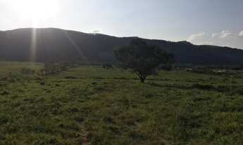 Imagem 2: W36-Preço especial de Lançamento