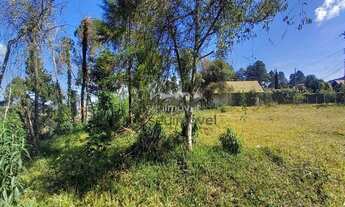 Imagem 4: Terreno à venda em Campos do Jordão!!!