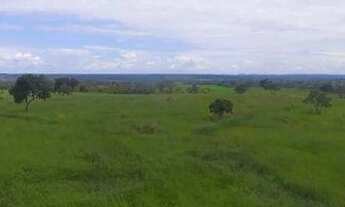 Imagem: Fazenda à venda, 10940000 m² por R$ 12.430.000,00