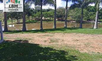 Imagem 6: FAZENDA PRA CRIAÇÃO DE GADO - TIMBURI