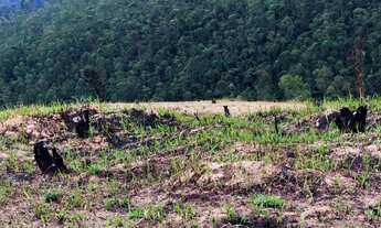 Imagem 3: Lote/Terreno para venda possui 600 metros quadrados com 1 quarto em Rio Acima - Mairiporã