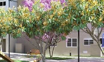 Imagem 4: Apartamento à venda, 2 quartos, 1 vaga, Parque Alves de Lima - São Paulo/SP