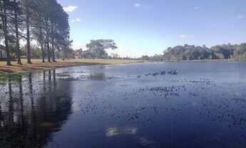 Imagem 6: Lotes vários tamanhos e localizações