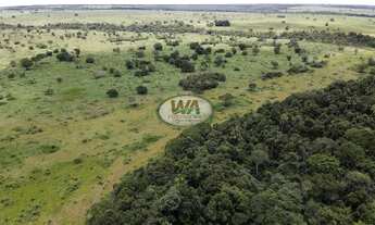 Imagem 5: Fazenda em Cristalândia- TO
