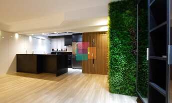 Imagem 7: JOINVILLE - Padrão - América