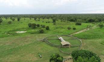 Imagem 2: Fazenda poconé Rod. Porto cercado