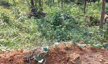 Imagem 3: Seu terreno em Ibiuna / Piedade 60480J