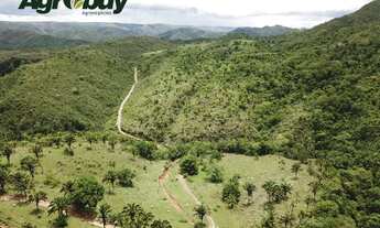 Imagem 2: Fazenda Localizada no Município de Niquelândia - go