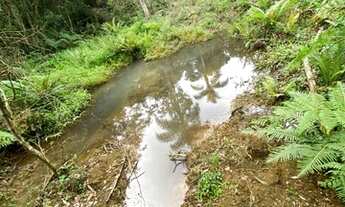 Imagem 7: Belíssimo sítio de 5.3 hectares em Urussanga