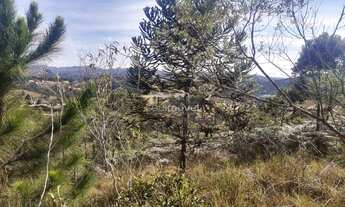 Imagem 7: Terreno à venda em Campos do Jordão!!!
