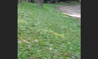 Imagem 6: Chácara para Venda em Suzano, Quinta Divisão, 6 dormitórios, 2 suítes, 2 banheiros, 5 vaga