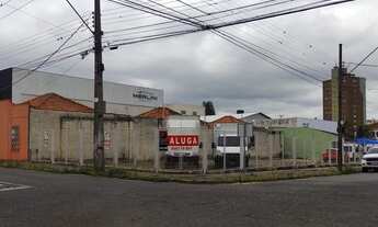 Imagem 2: Terreno - Nova Rússia