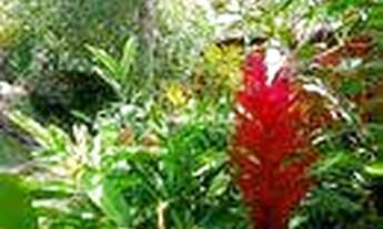 Imagem 6: Pousada Hotel Boutique Bali Style