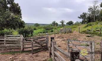 Imagem 4: Fazenda à venda, 242 Hectares- Zona Rural - Aparecida do Rio Negro/TO