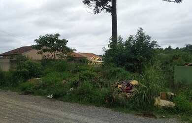 Imagem 2: CAMPO LARGO - Terreno Padrão - Jardim das Acácias