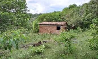 Imagem 2: Sítio em Pedro Régis com 12 hectares e rio perene