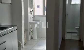 Imagem: Apartamento para aluguel possui 44 metros