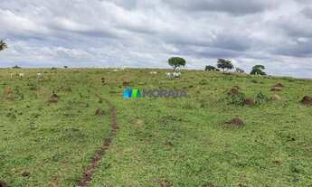 Imagem 5: NOVA SERRANA - Fazenda - Zona Rural