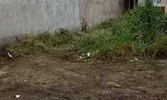 Imagem 2: Casa com terreno amplo