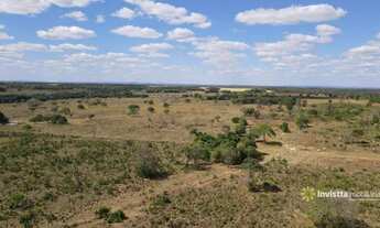 Imagem 6: Fazendas em Tocantins