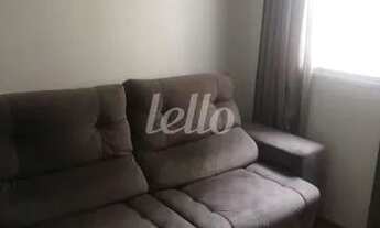 Imagem 5: São Paulo - Apartamento Padrão - Cambuci